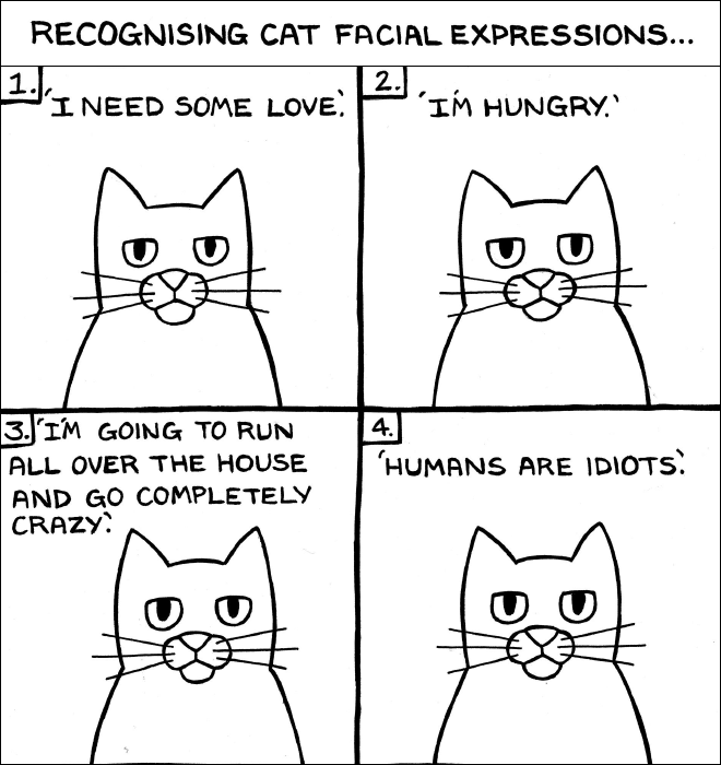 Funny Illustrations That All Cat Owners Will Understand