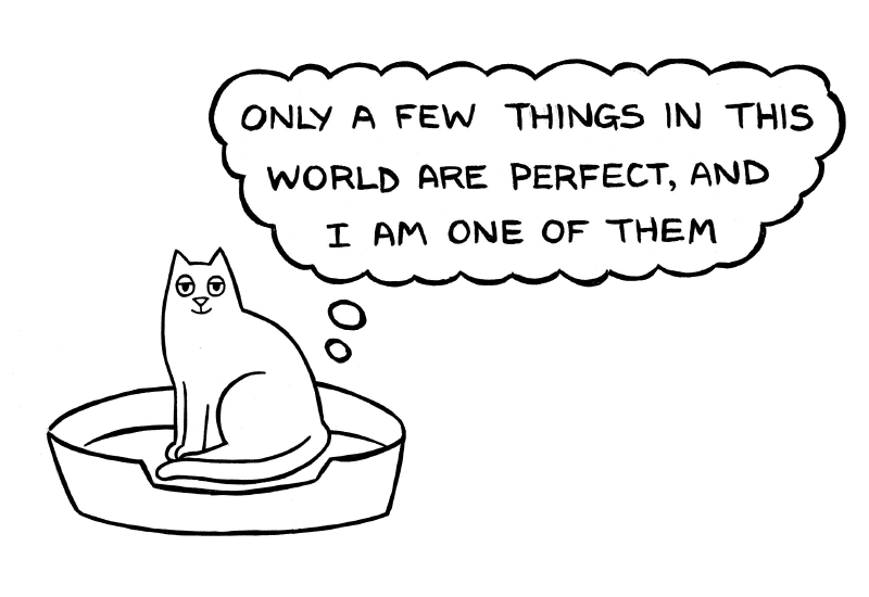 Funny Illustrations That All Cat Owners Will Understand