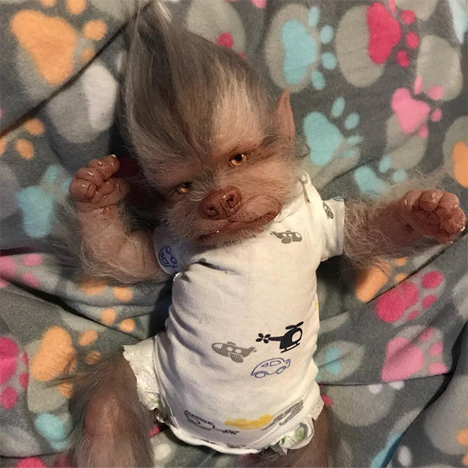 realistic werewolf baby