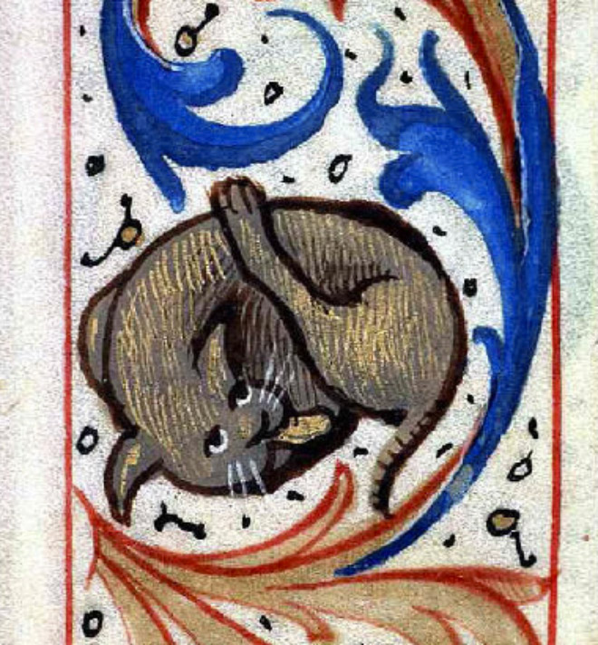 medieval hentai ass