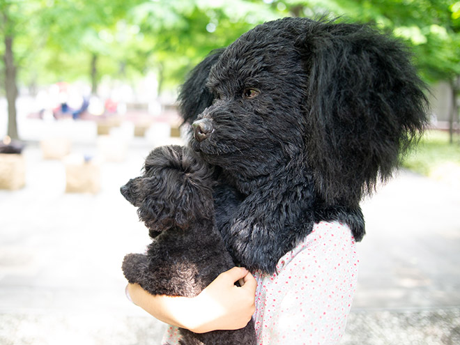 Realistic dog mask.