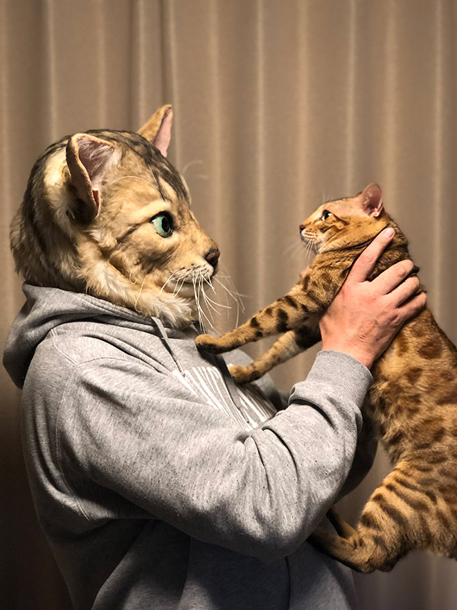 Realistic cat mask.