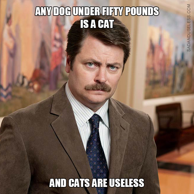 Any dog under fifty pounds is a cat, and cats are useless.