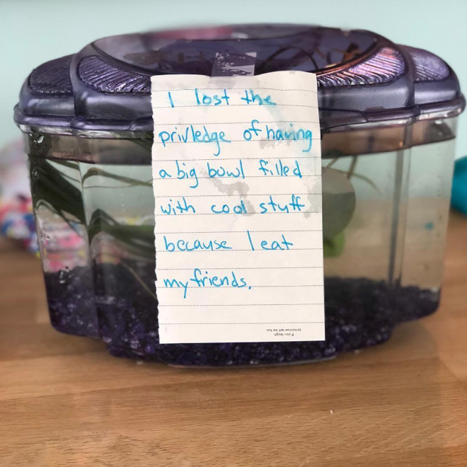 Fish shaming.