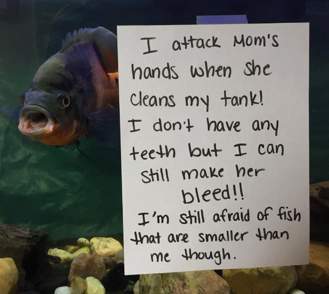 Fish shaming.