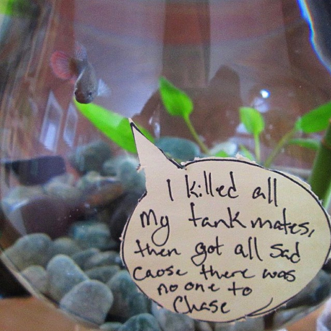 Fish shaming.