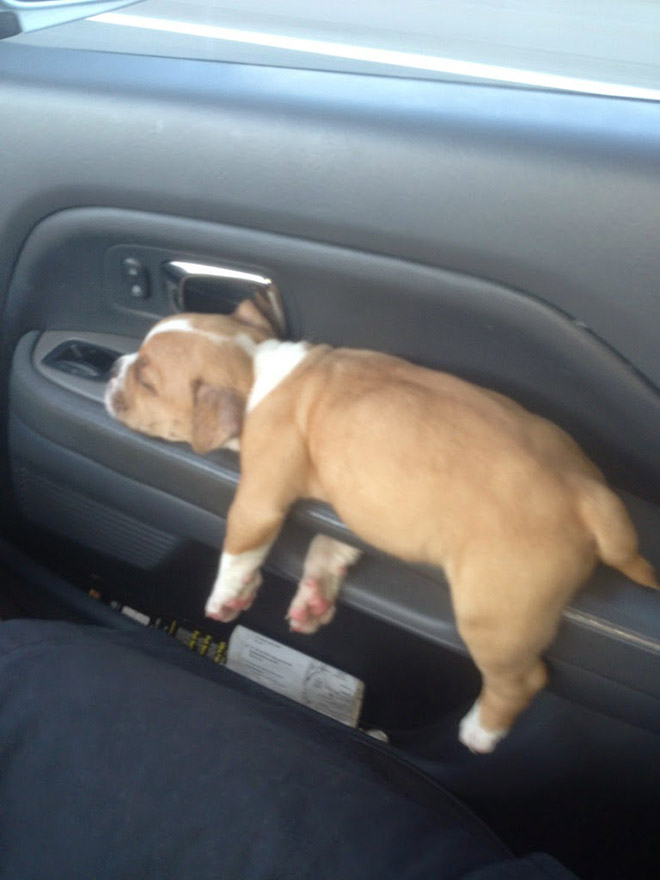 Funny sleeping position.