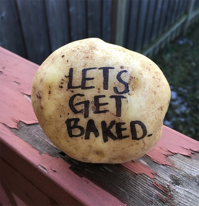 Message delivered by potato mail service.