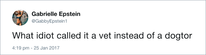 What idiot called it a vet instead of a dogtor