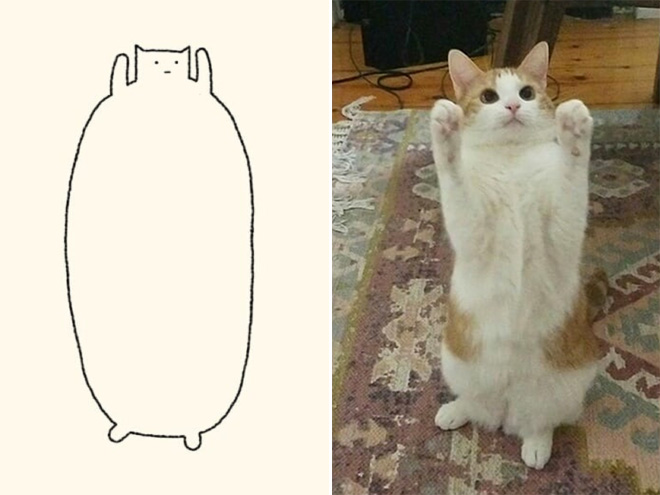 Drawing cats in a Minimalist Style - Democratic Underground