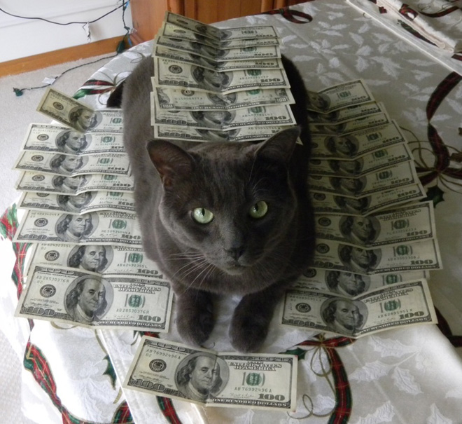 Rich gangster cat.