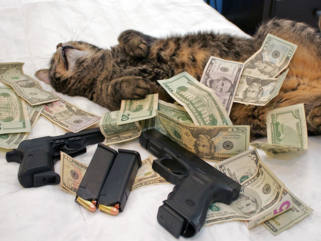 Rich gangster cat.