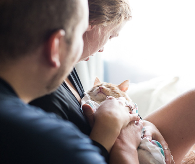 Newborn cat baby photoshoot.