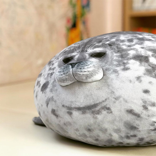 seal teddy pillow