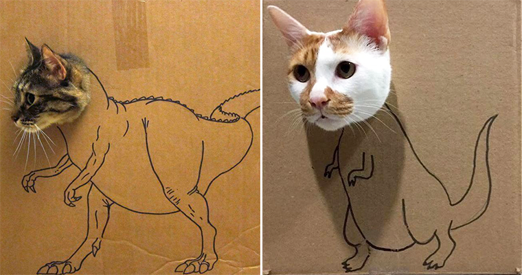 Quarantined Owners Use Cardboard Boxes To Turn Their Pets Into Dinosaurs