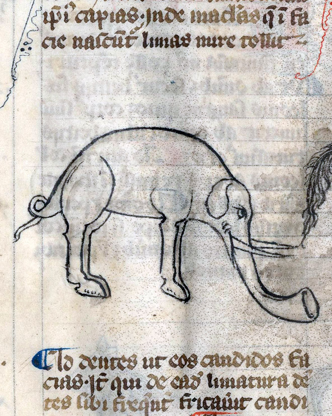 This is how medieval artists painted elephants.