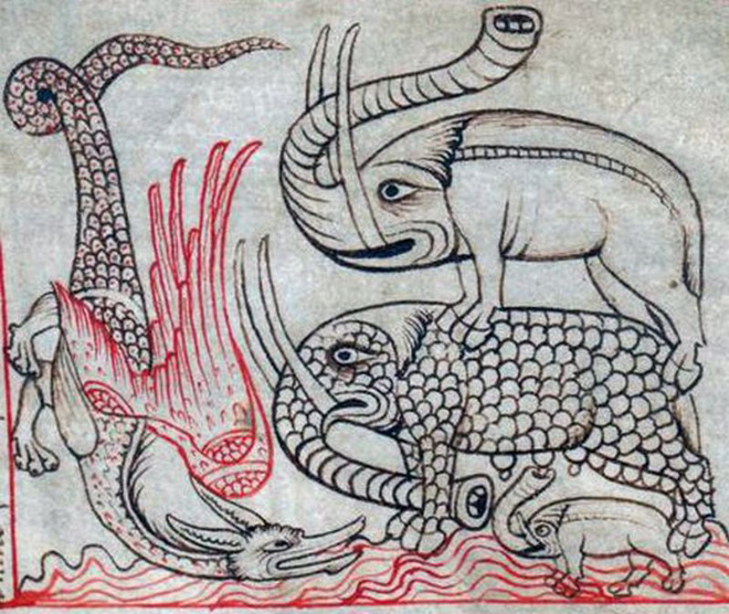 This is how medieval artists painted elephants.