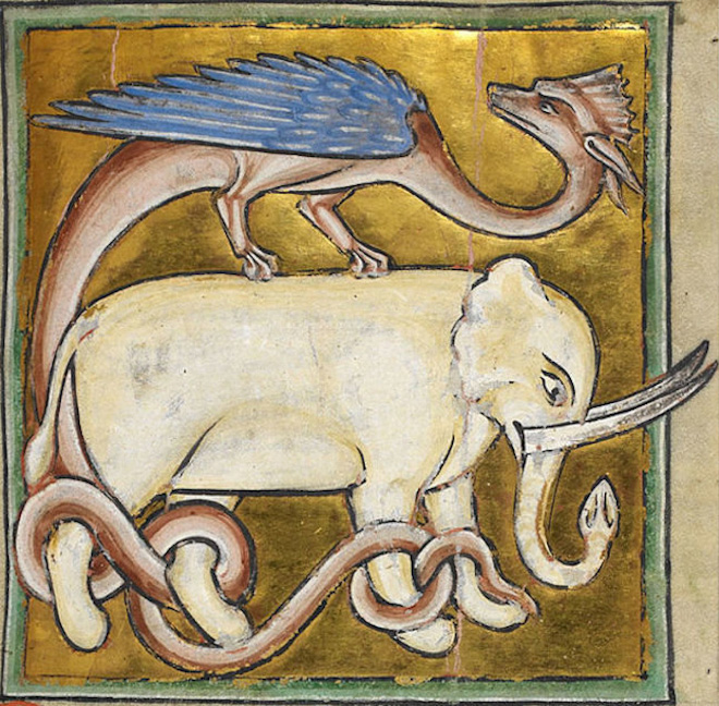 This is how medieval artists painted elephants.