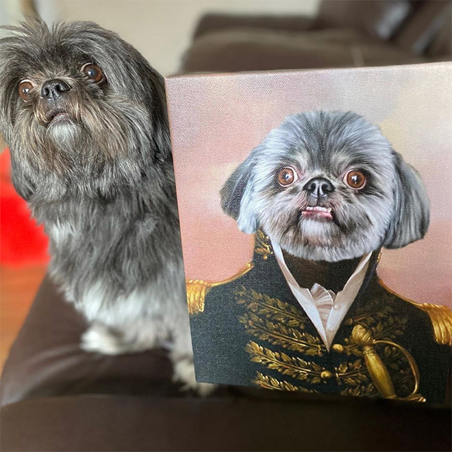 Royal pet portrait.