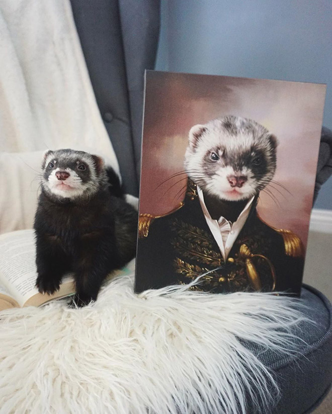 Royal pet portrait.