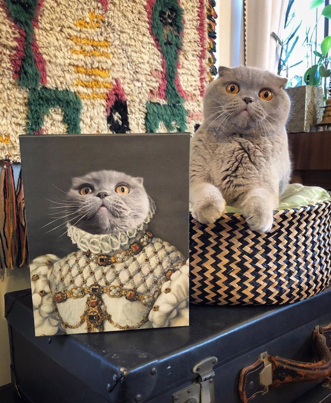 Royal pet portrait.