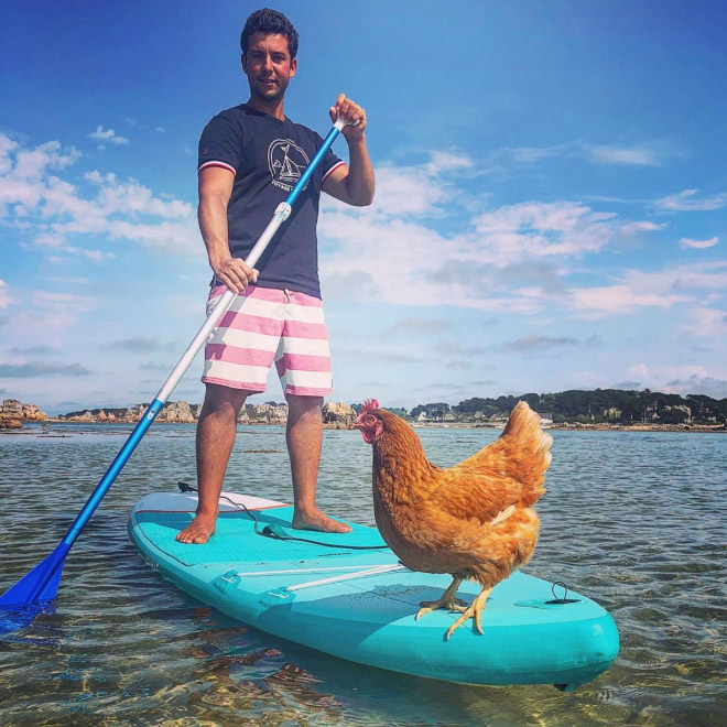 This guy sails around the world with his pet chicken.