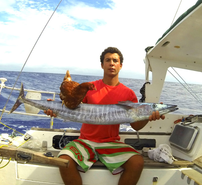 This guy sails around the world with his pet chicken.