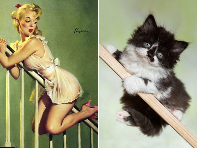 Pinup cat.