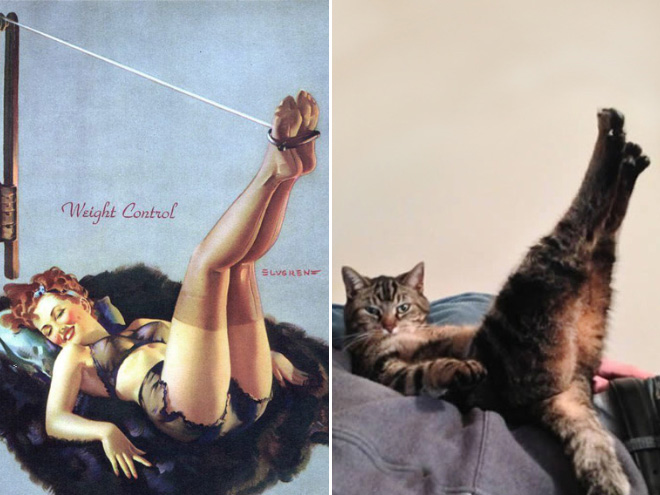 Pinup cat.