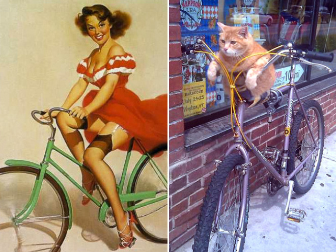 Pinup cat.