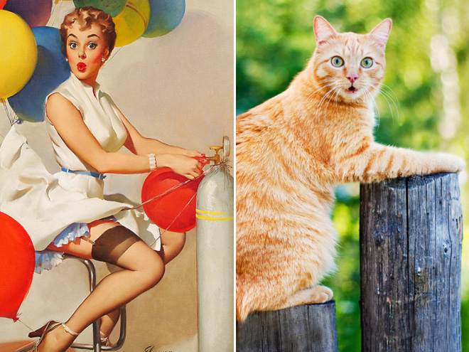 Pinup cat.