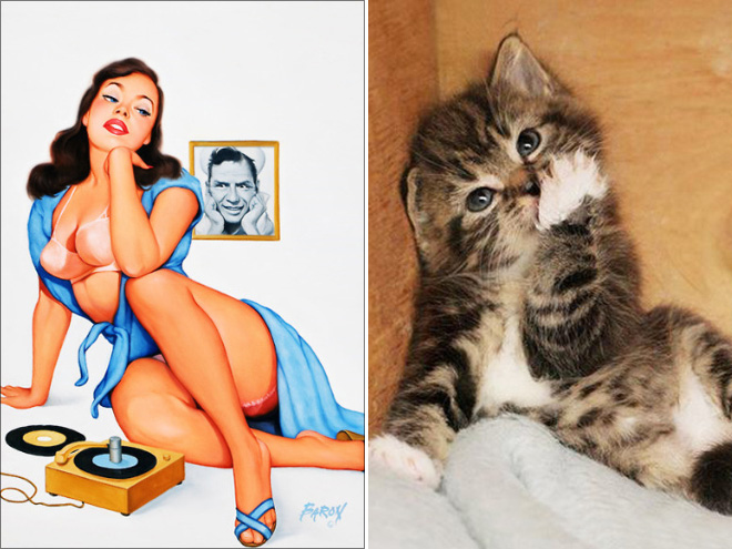 Pinup cat.