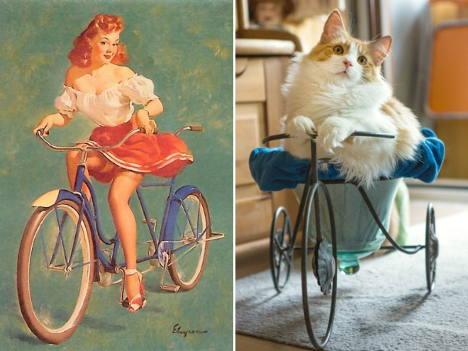 Pinup cat.