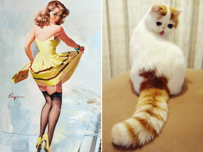 Pinup cat.