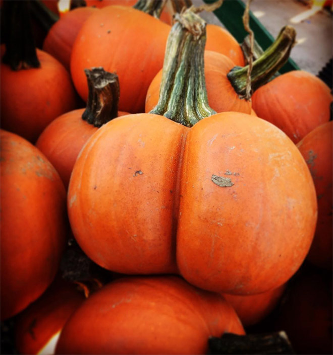 Beautiful pumpkin butt.