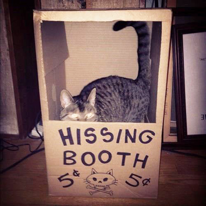 Hissing booth.