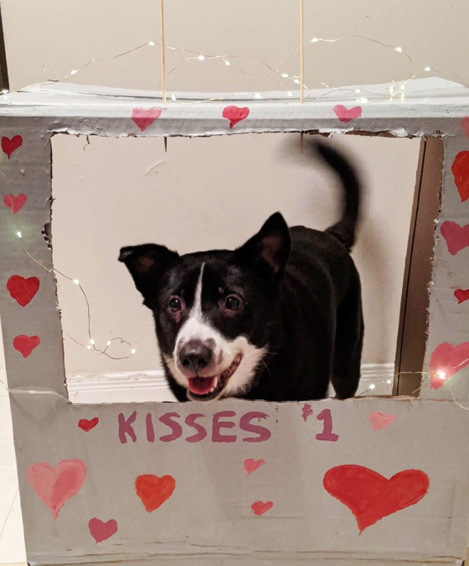 Kissing booth.