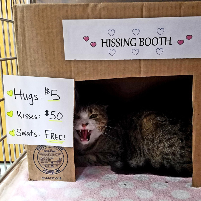 Hissing booth.