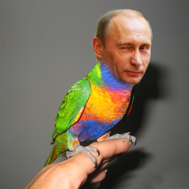 Rainbow Putin.