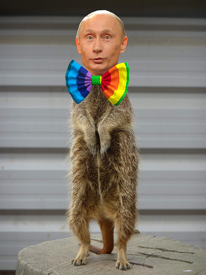 Rainbow Putin.