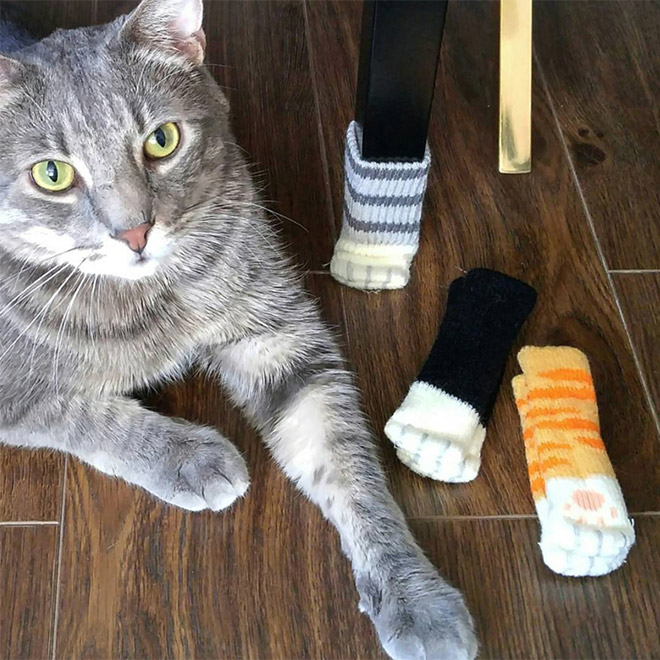 Cat Paw Chair Socks: The Funniest Way To Protect Your Floors