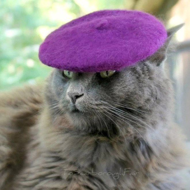 Cat hats are the best thing that has ever happened to fashion.