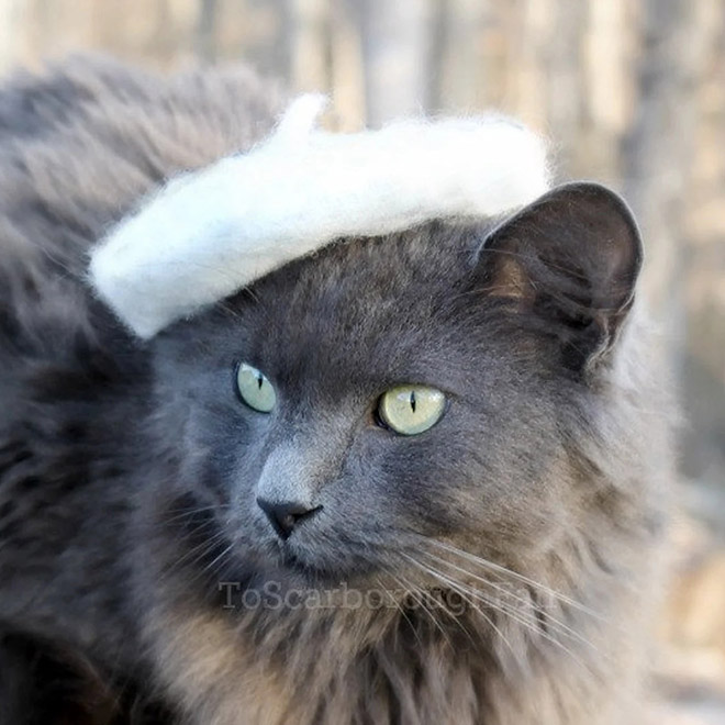 Cat hats are the best thing that has ever happened to fashion.