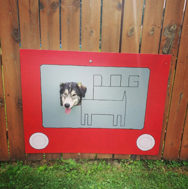 Funny dog fence painting.