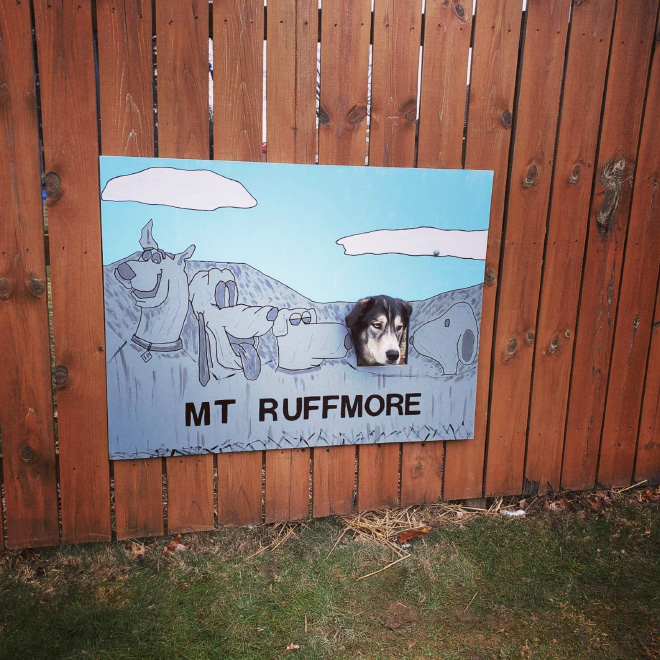 Funny dog fence painting.