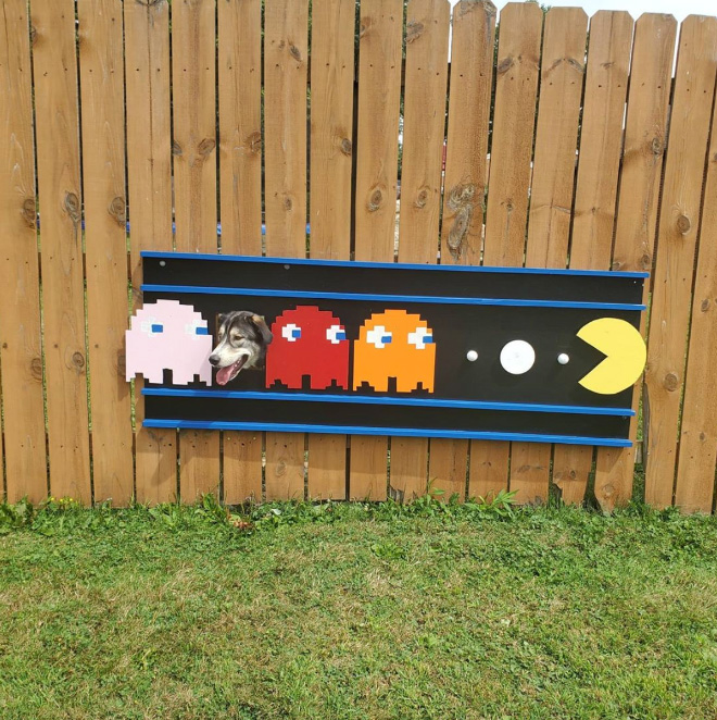 Funny dog fence painting.