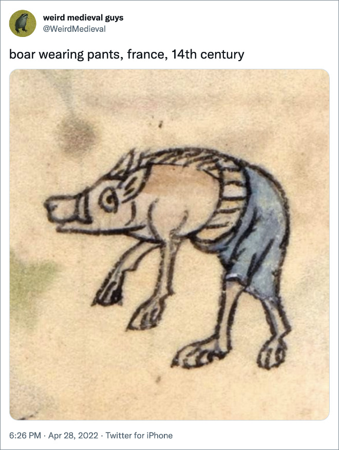 boar wearing pants, france, 14th century