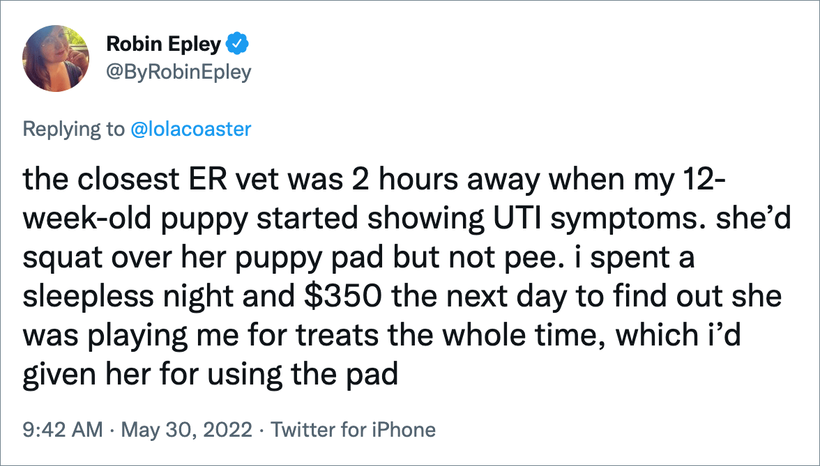 the closest ER vet was 2 hours away when my 12-week-old puppy started showing UTI symptoms. she’d squat over her puppy pad but not pee. i spent a sleepless night and $350 the next day to find out she was playing me for treats the whole time, which i’d given her for using the pad