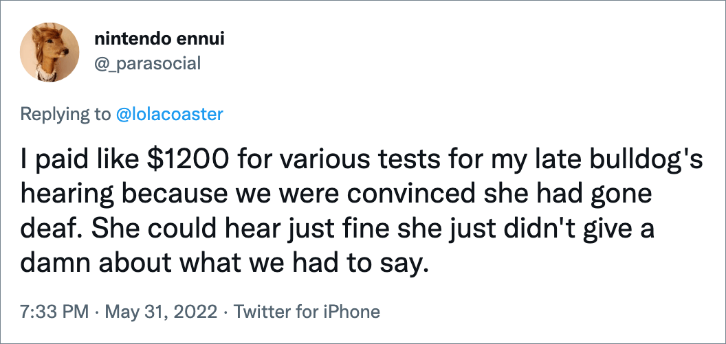 I paid like $1200 for various tests for my late bulldog's hearing because we were convinced she had gone deaf. She could hear just fine she just didn't give a damn about what we had to say.