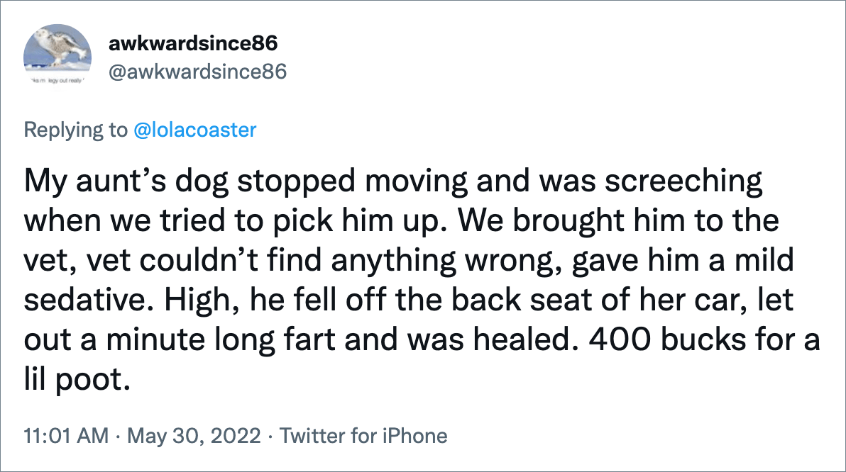 My aunt’s dog stopped moving and was screeching when we tried to pick him up. We brought him to the vet, vet couldn’t find anything wrong, gave him a mild sedative. High, he fell off the back seat of her car, let out a minute long fart and was healed. 400 bucks for a lil poot.